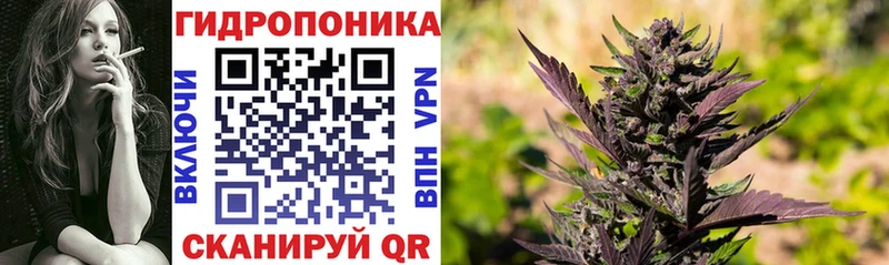 Виды наркотиков купить Черепаново COCAIN  ГАШИШ  mega tor  МАРИХУАНА  А ПВП 