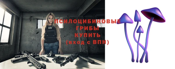 не бодяженный Алзамай