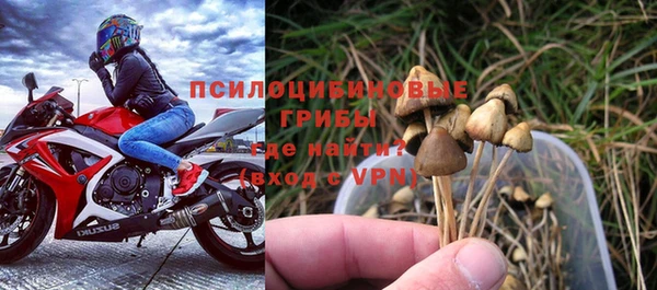 не бодяженный Алзамай
